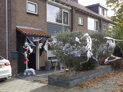 902723 Gezicht op de tuin van de woning Nyeveltstraat 19 te De Meern (gemeente Utrecht), die versierd is ter ...